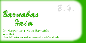 barnabas haim business card
